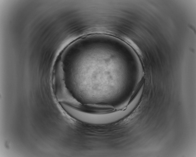 X0000096441144200801311423