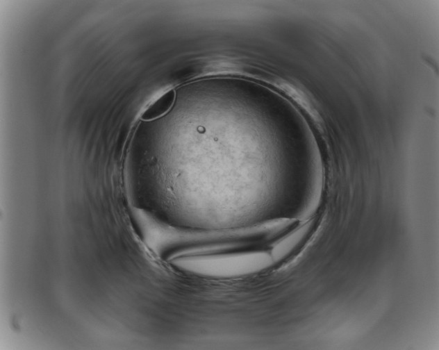X0000096441145200801311423