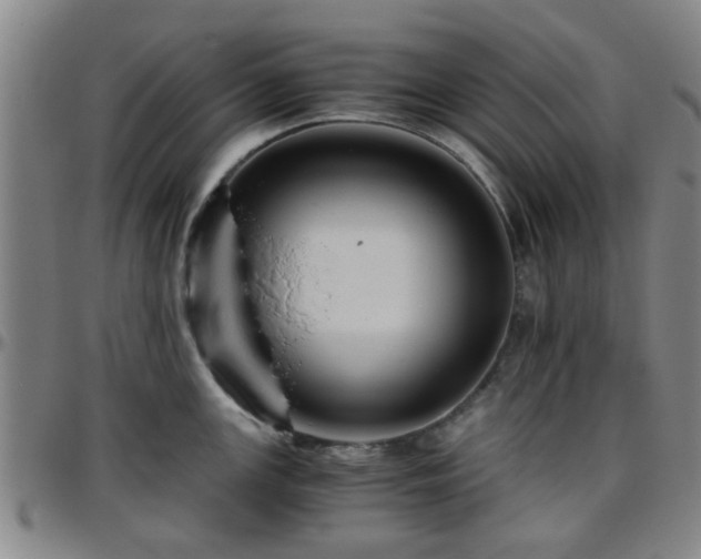 X0000096441147200801311423