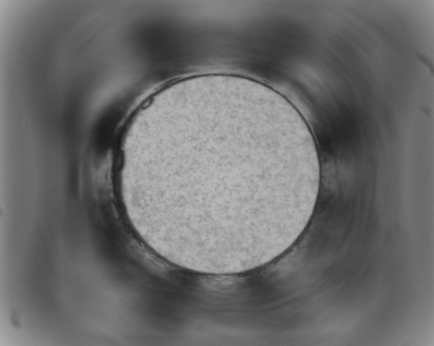 X0000096441150200801311423