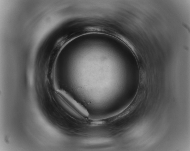 X0000096441151200801311423