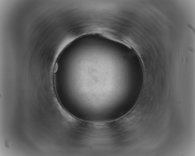 X0000096441152200801311423