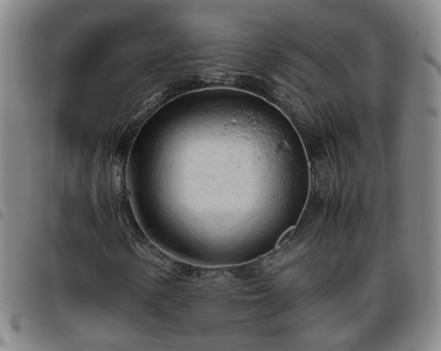X0000096441154200801311422