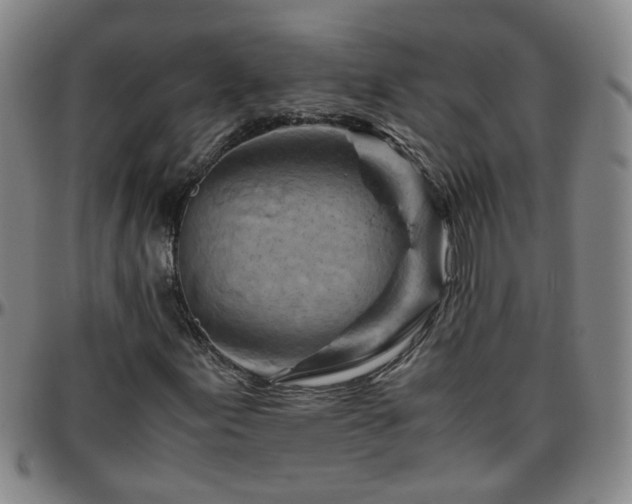 X0000096441155200801311422