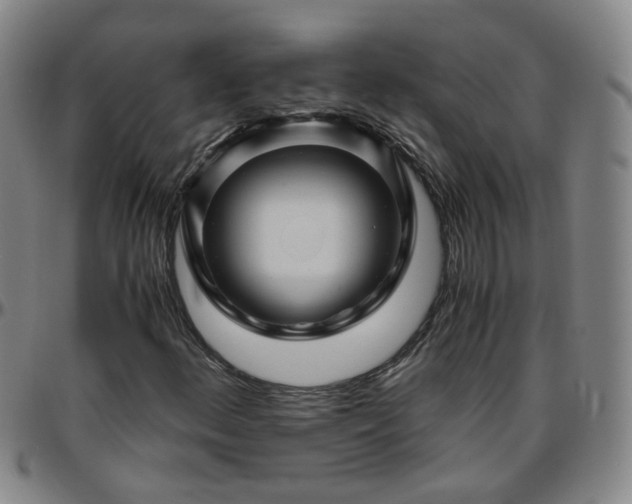 X0000096441156200801311422