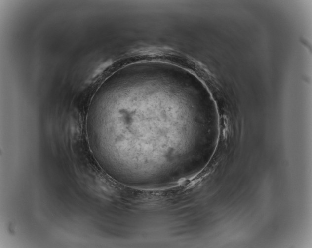 X0000096441158200801311422