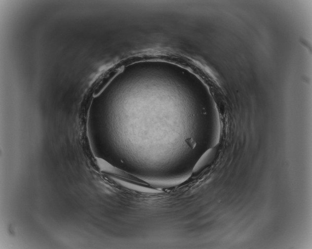 X0000096441160200801311422