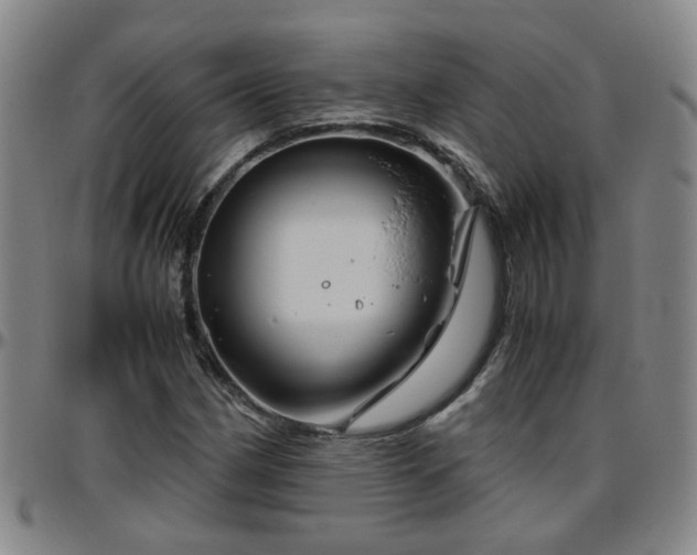 X0000096441162200801311422