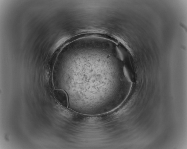 X0000096441163200801311422