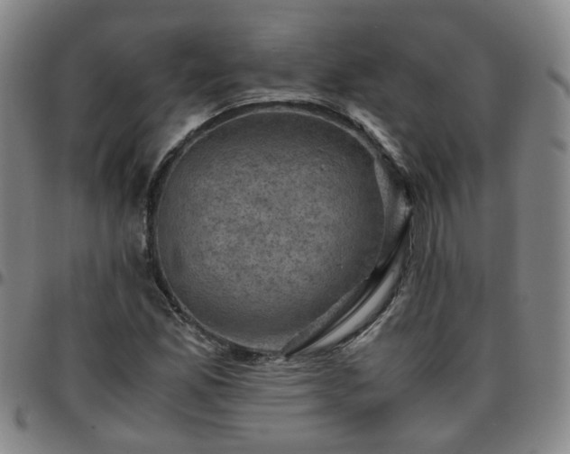 X0000096441165200801311422