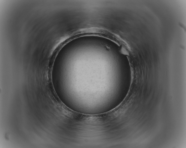 X0000096441166200801311422