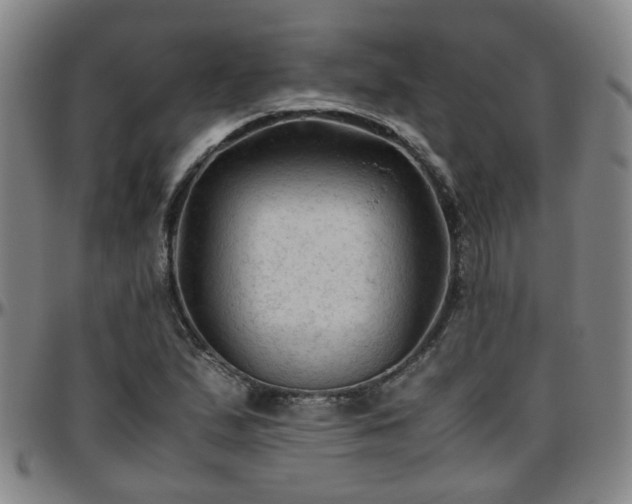 X0000096441167200801311422