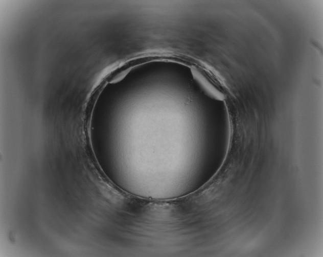 X0000096441168200801311422