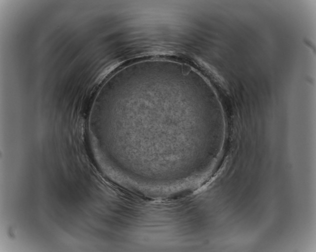X0000096441169200801311422