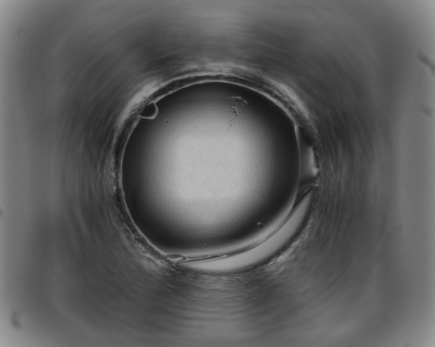 X0000096441172200801311422