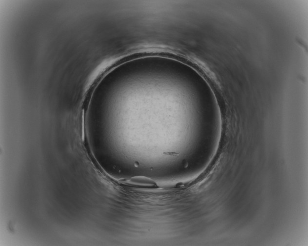 X0000096441175200801311422
