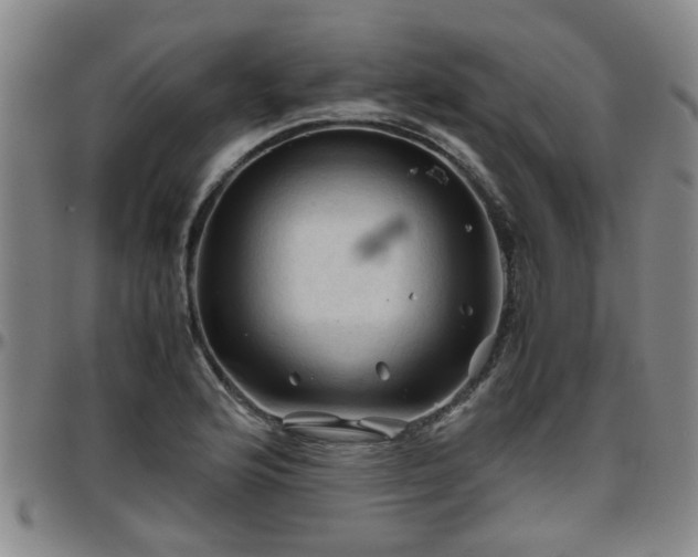X0000096441176200801311422