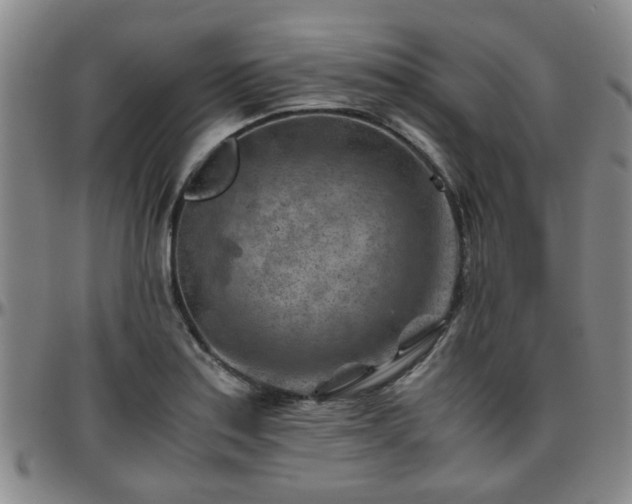 X0000096441179200801311422