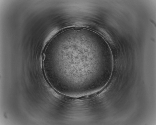 X0000096441180200801311422
