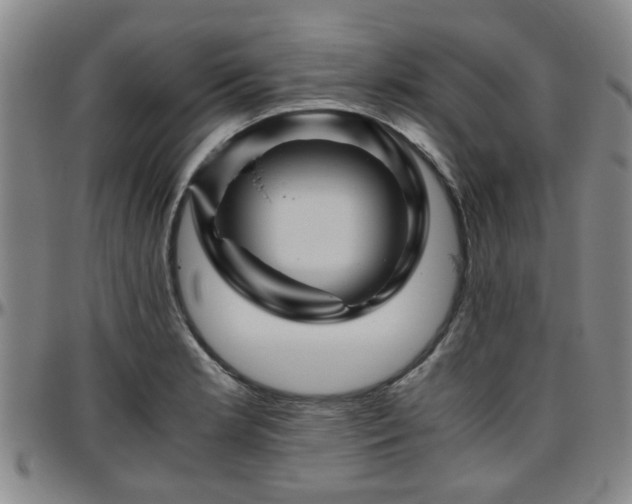 X0000096441181200801311422