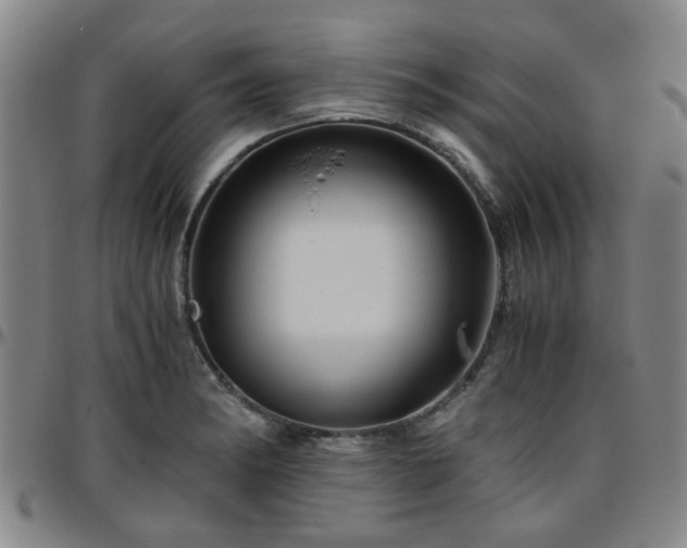 X0000096441182200801311422