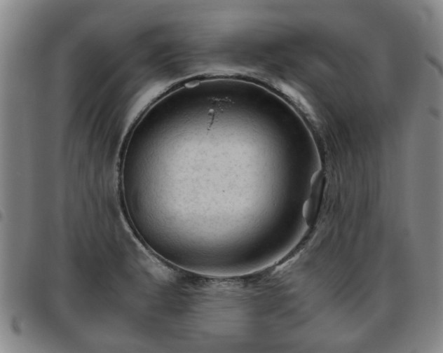 X0000096441183200801311422