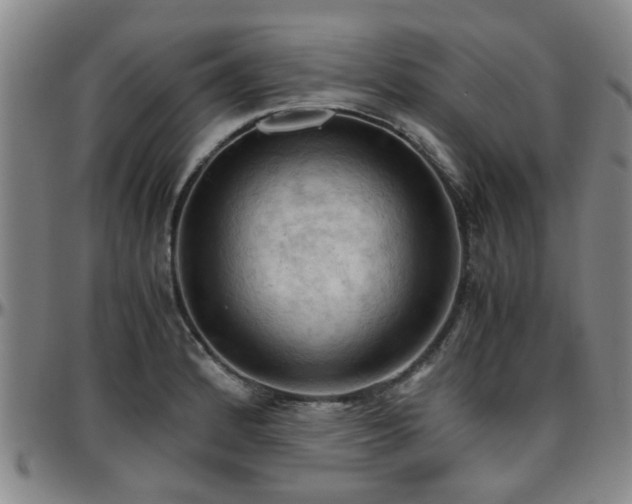 X0000096441184200801311422