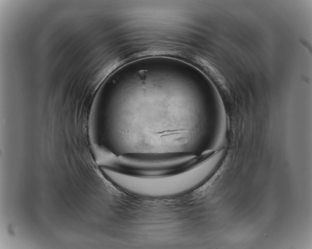 X0000096441185200801311422