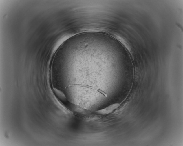 X0000096441187200801311422