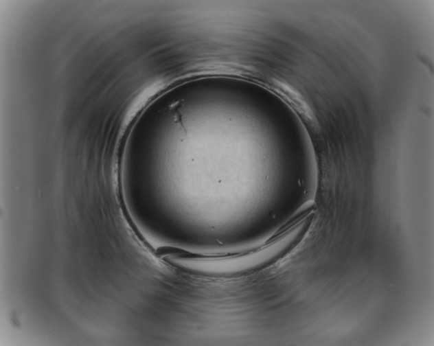 X0000096441188200801311422