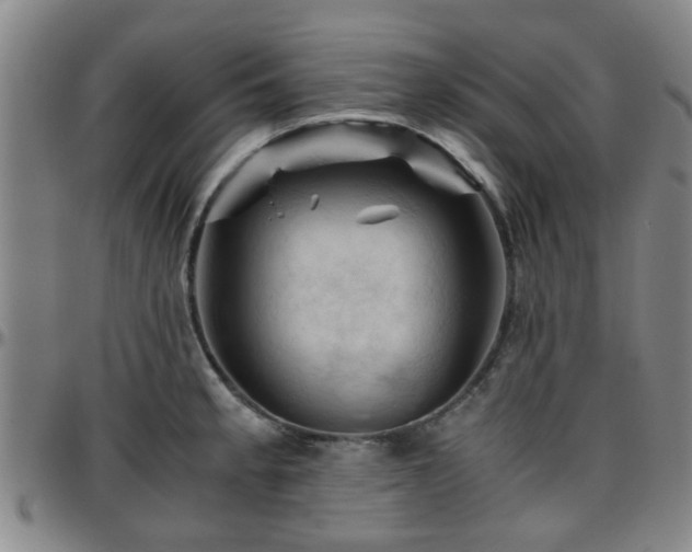 X0000096441189200801311422