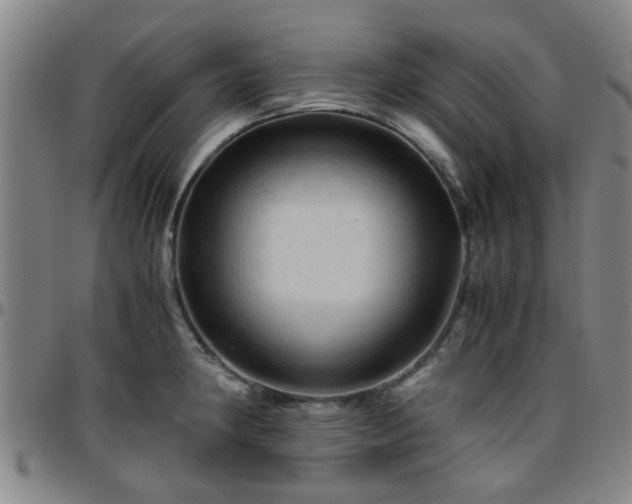 X0000096441190200801311422
