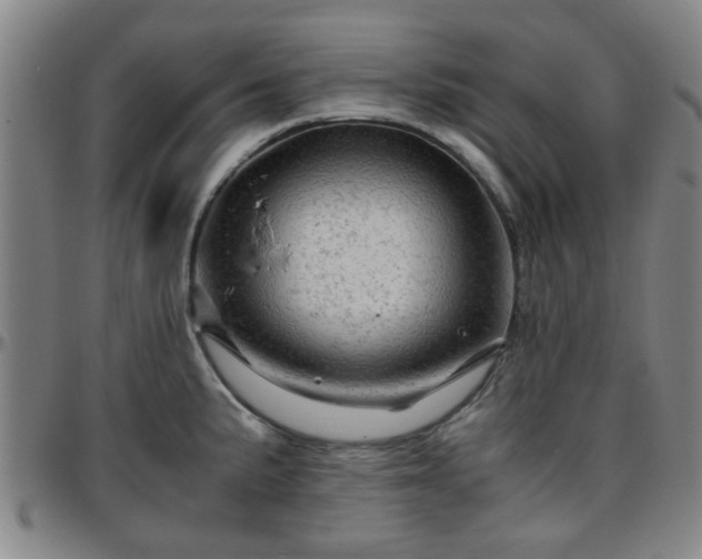 X0000096441191200801311422