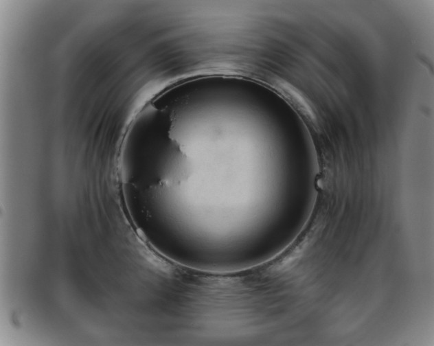 X0000096441192200801311422