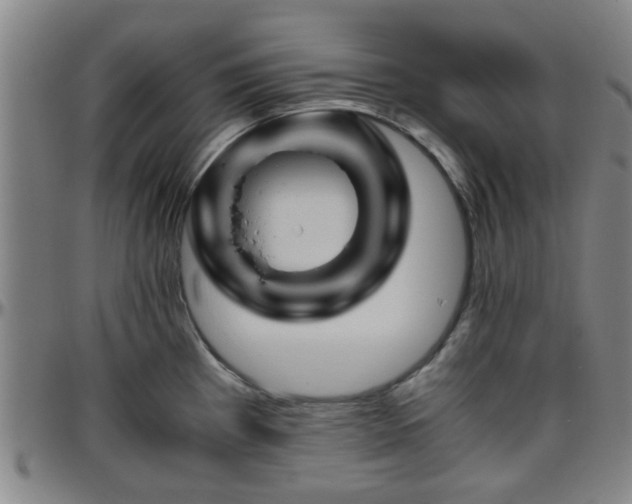 X0000096441193200801311422