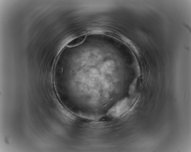 X0000096441194200801311422