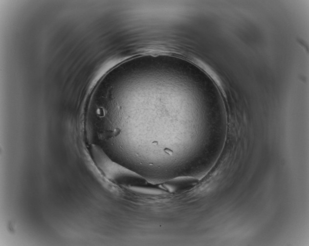 X0000096441195200801311422