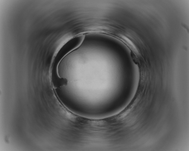 X0000096441196200801311422