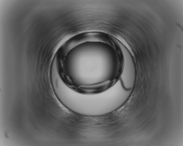 X0000096441197200801311422