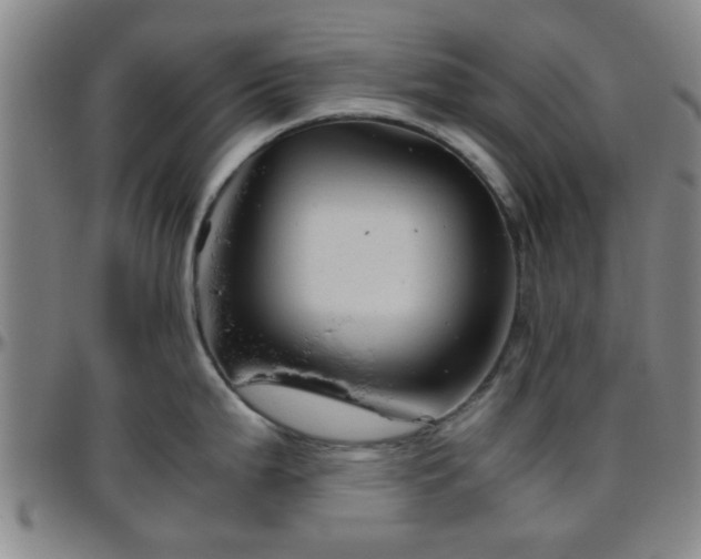X0000096441199200801311422