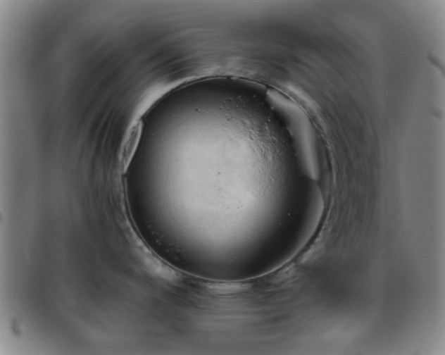 X0000096441200200801311422