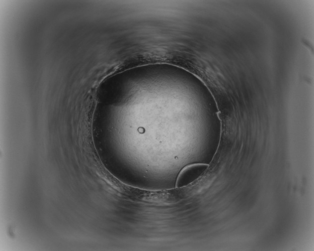 X0000096441201200801311421