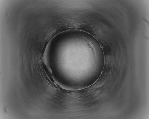 X0000096441202200801311421