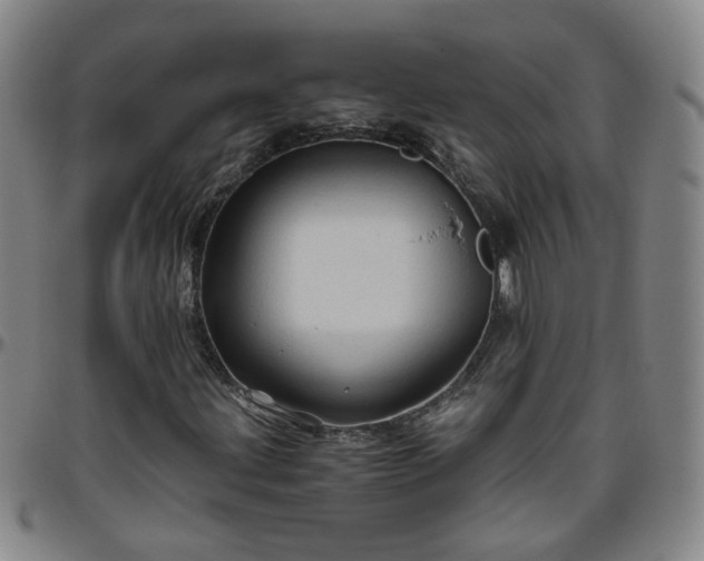 X0000096441203200801311421