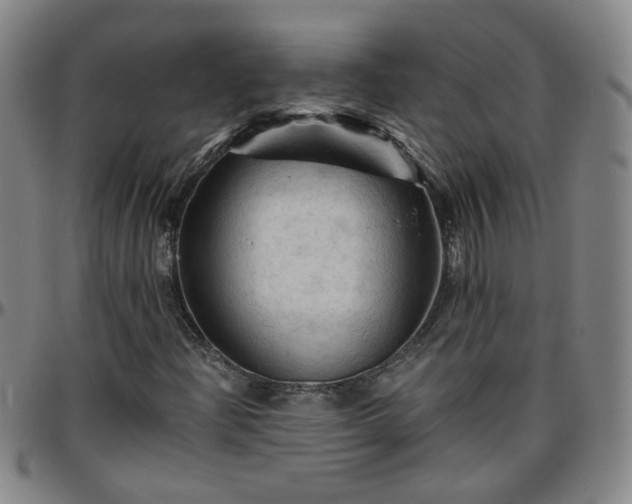 X0000096441204200801311421
