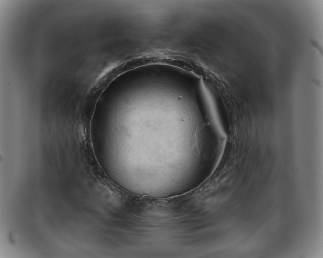 X0000096441206200801311421
