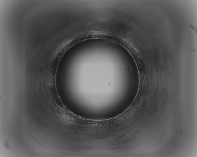 X0000096441207200801311421