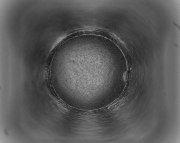 X0000096441208200801311421