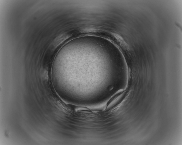 X0000096441209200801311421