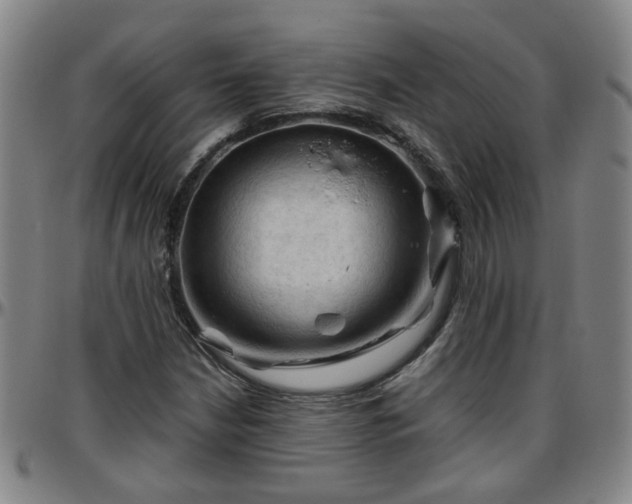X0000096441210200801311421